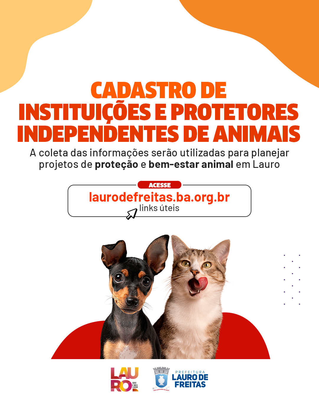 Prefeitura de Lauro de Freitas inicia cadastro de instituições e protetores independentes de animais; saiba mais