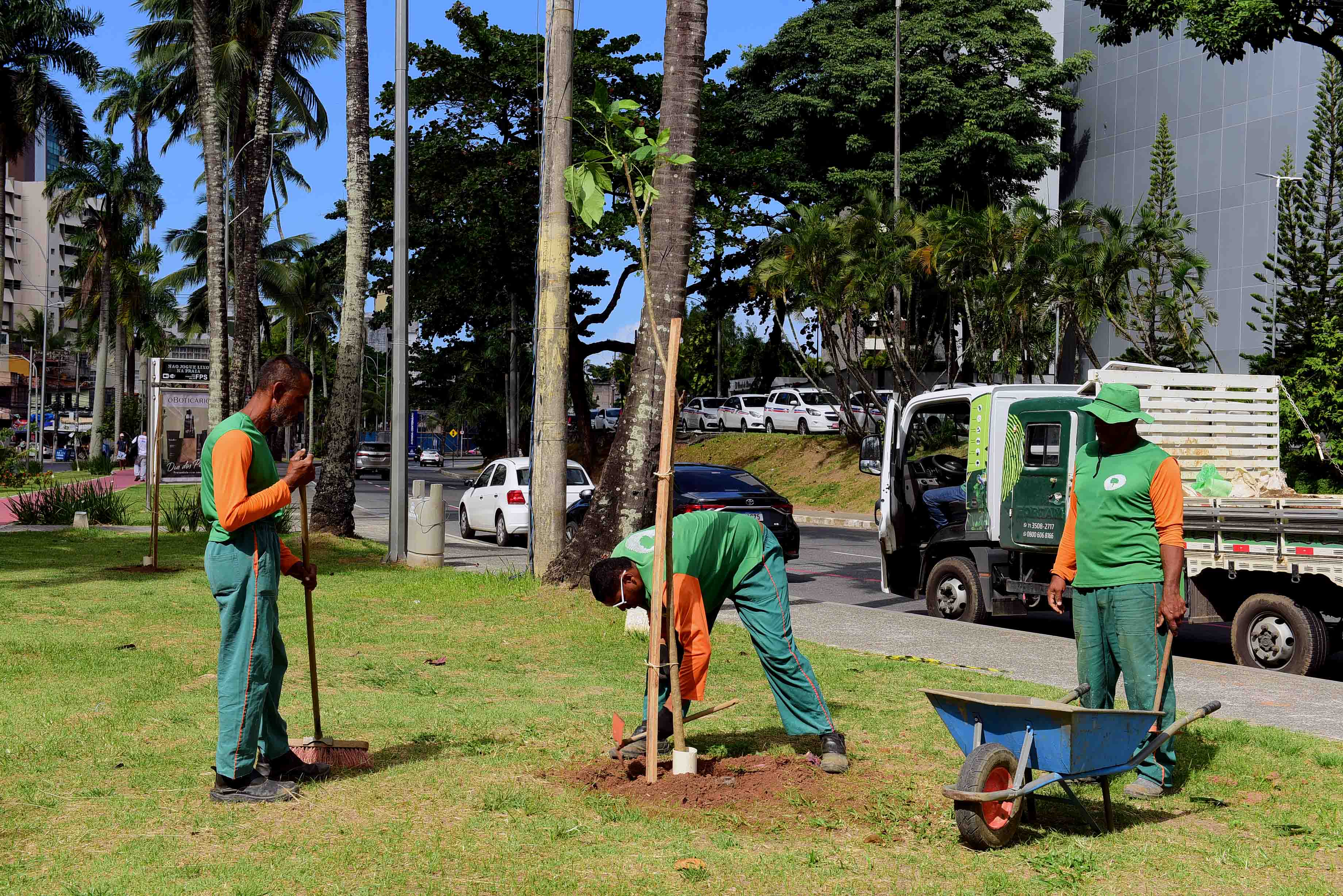 Prefeitura e moradores plantam novas mudas de árvores na Barra