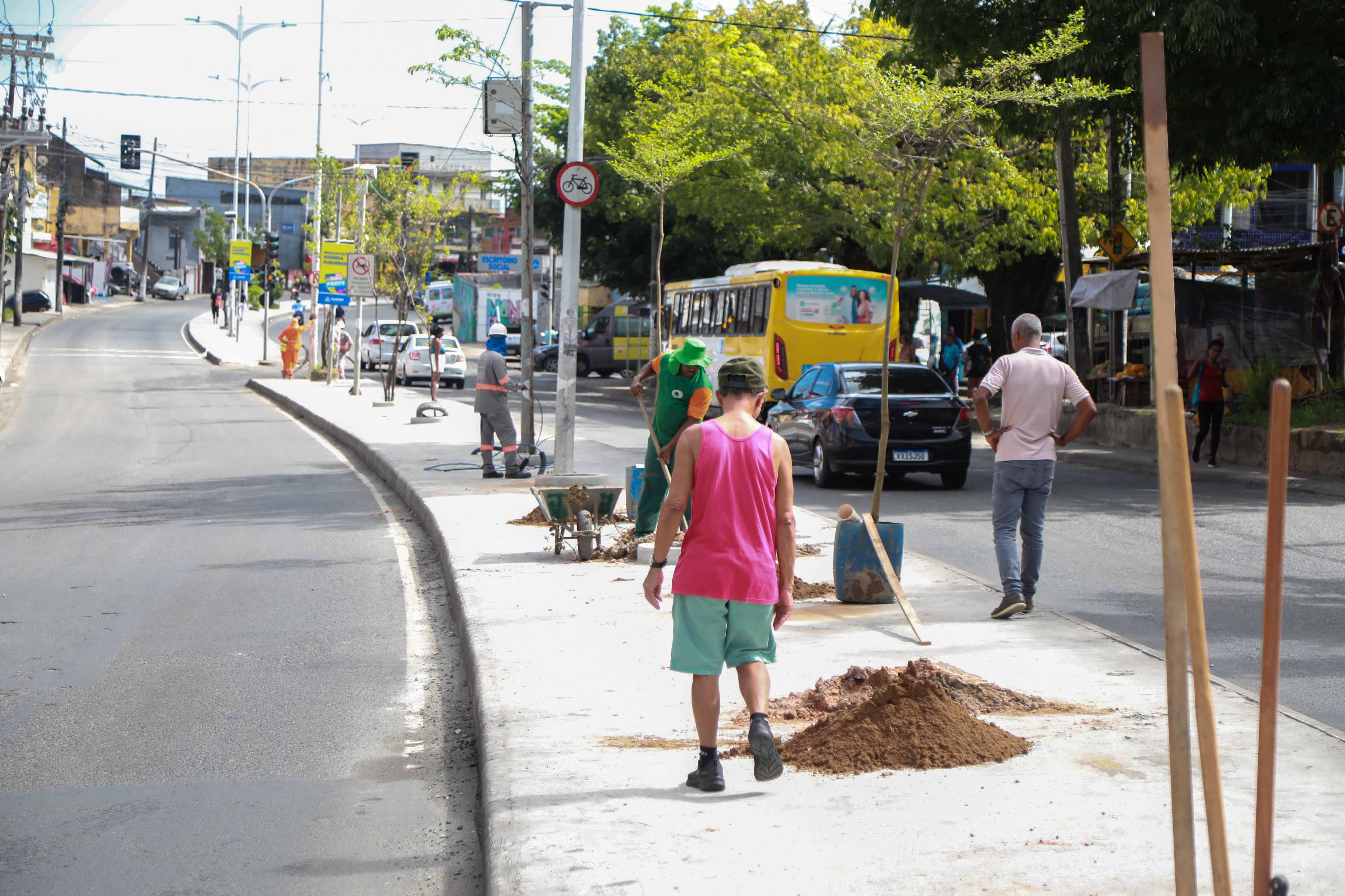 Prefeitura inicia plantio de 50 novas árvores na Avenida Suburbana