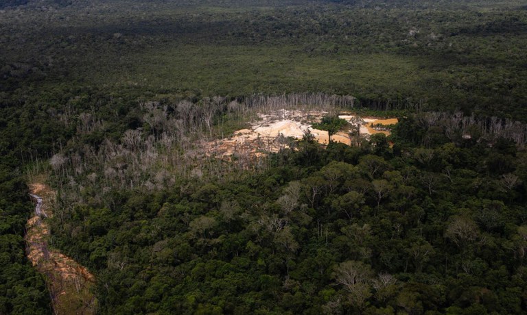 Redução de novos garimpos na Terra Yanomami chega a 95,9%