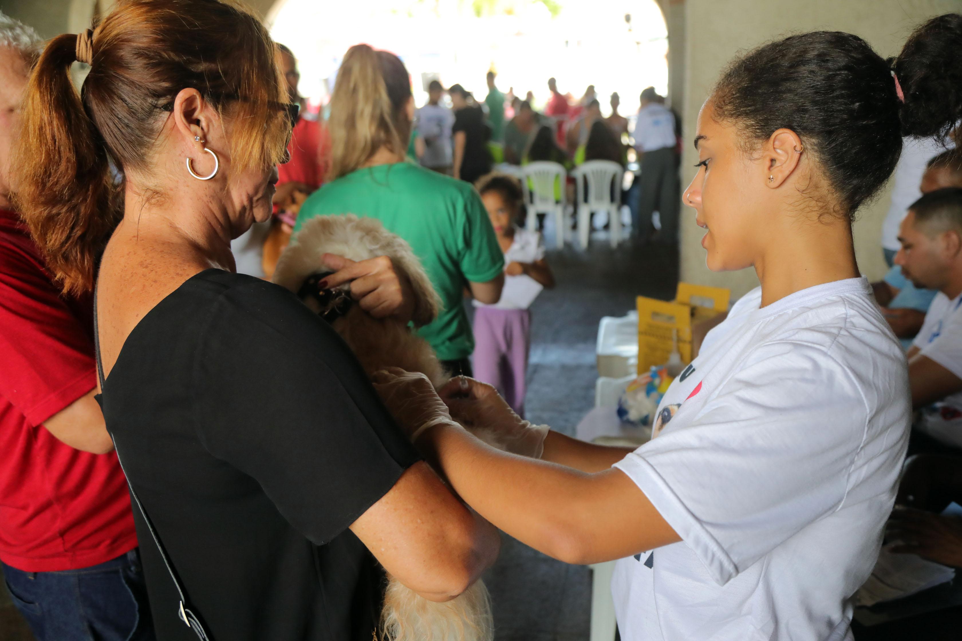 Pau da Lima terá aplicação de vacina V10 para cães nesta quinta (16) e sexta (17)