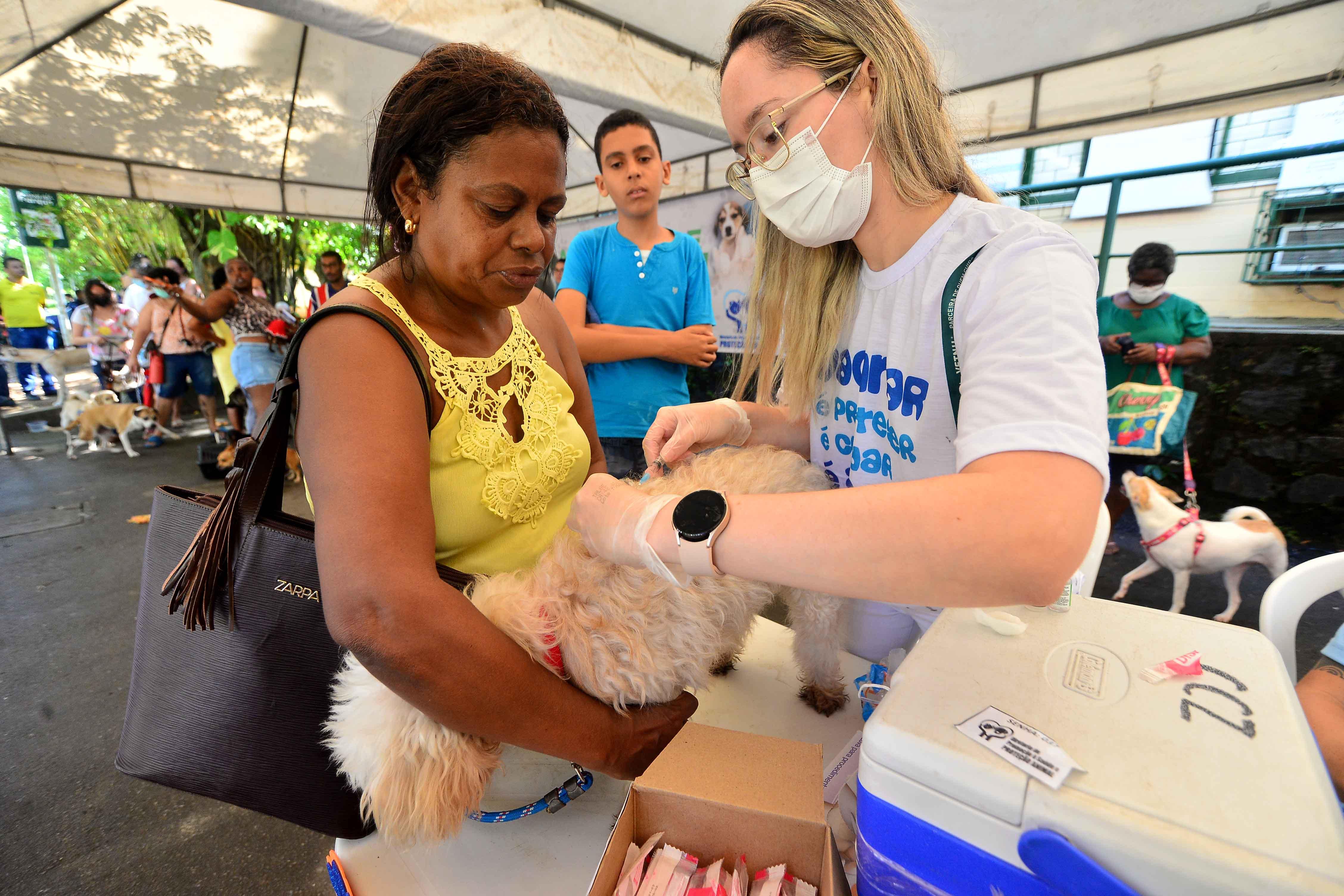 Prefeitura disponibilizará mais 3 mil doses de vacina V10 para cães a partir de quarta (21)